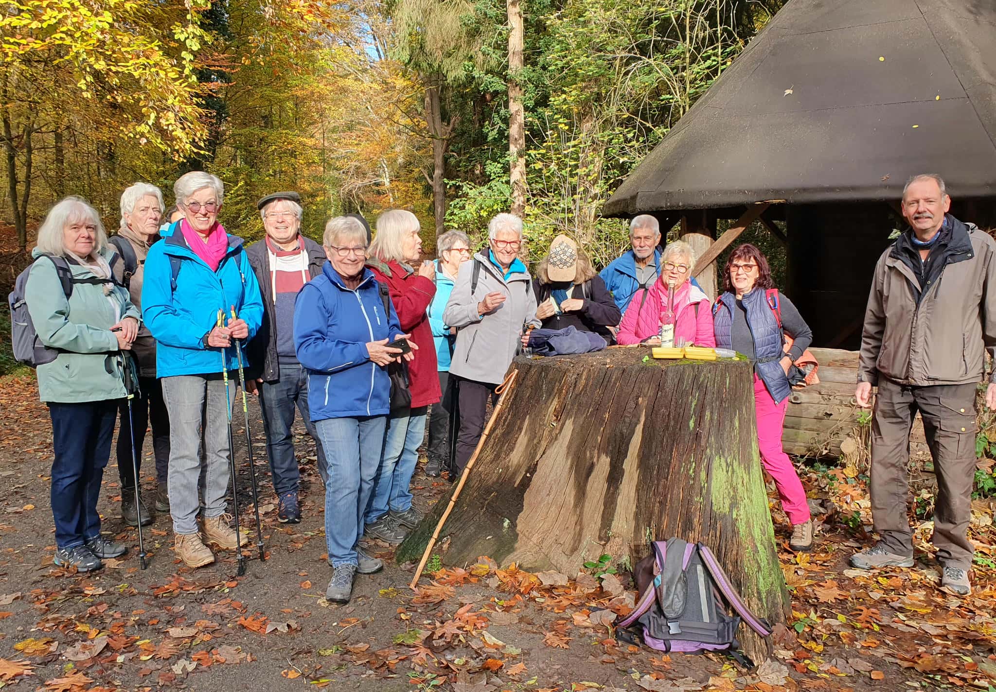 Indian Summer im Siebengebirge
